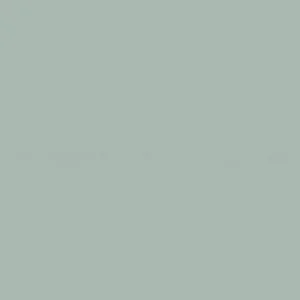 HGTV Home® by Sherwin-Williams 2025 Év Színe