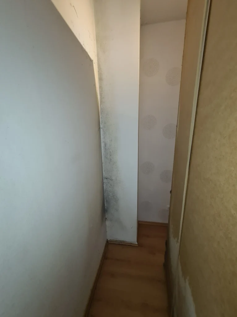 Penészedés előtte